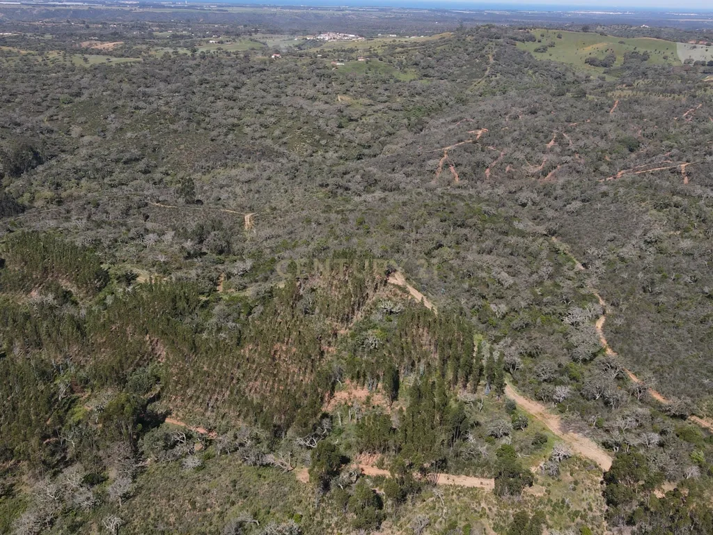 Herdade em S.Luis, Odemira - Image 29