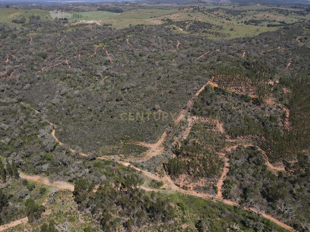Herdade em S.Luis, Odemira - Image 22
