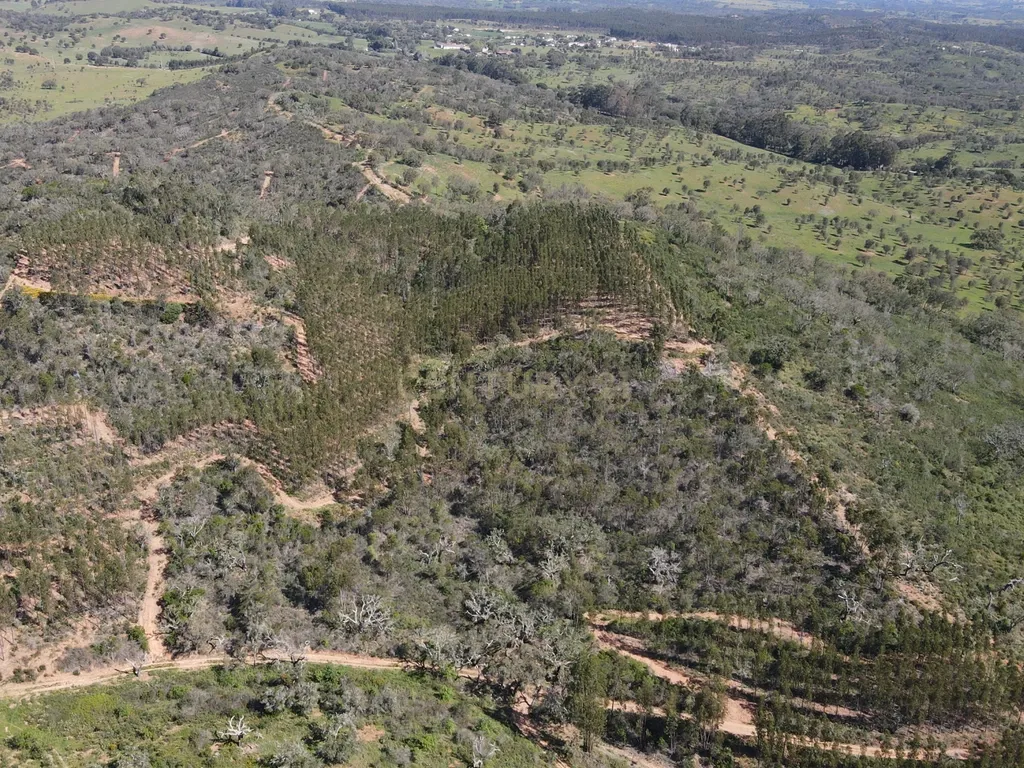 Herdade em S.Luis, Odemira - Image 21