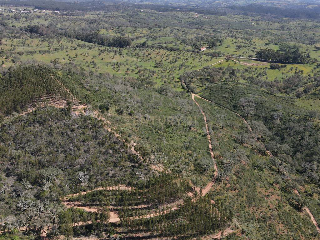 Herdade em S.Luis, Odemira - Image 14