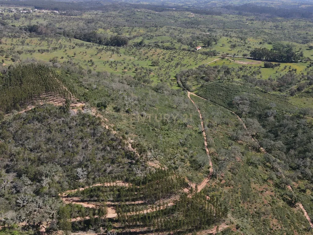 Herdade em S.Luis, Odemira - Image 14