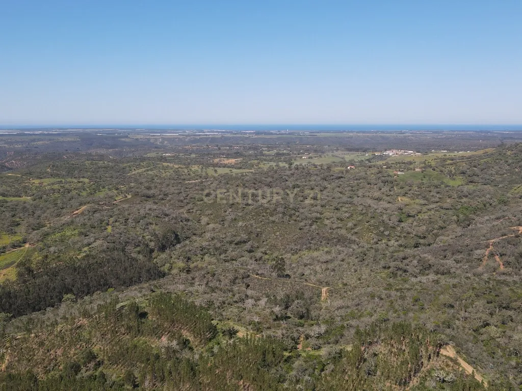 Herdade em S.Luis, Odemira - Image 3