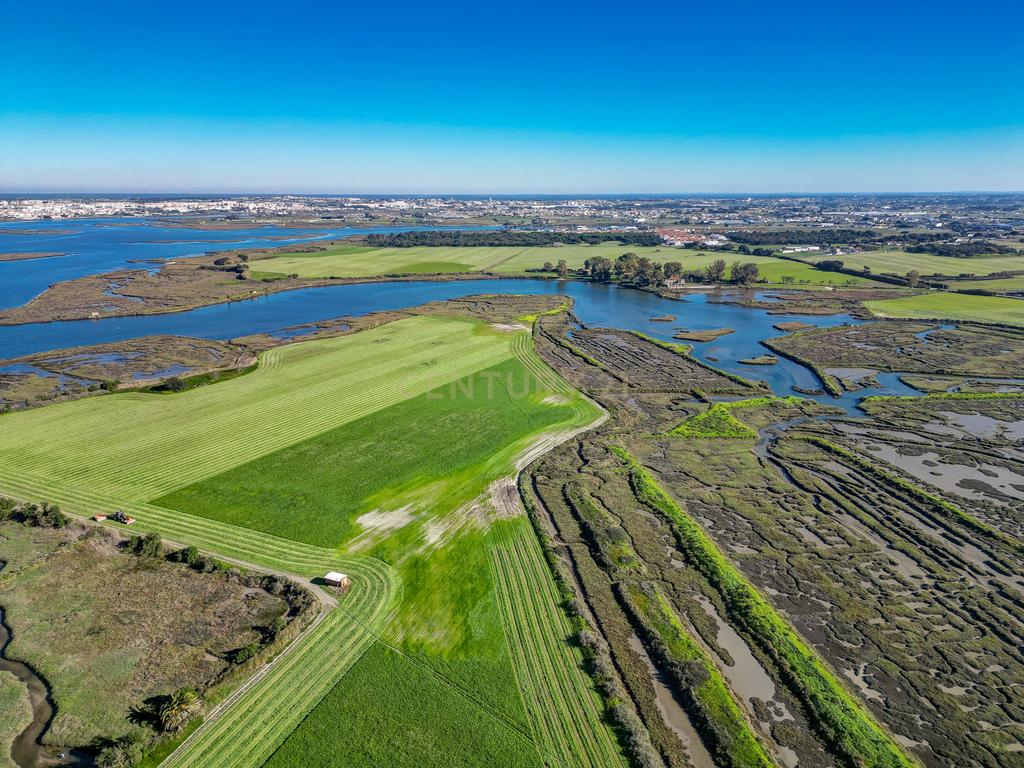 Quinta na margem sul do Tejo, com 105ha, com 5.000m2 de área urbana. - Image 31