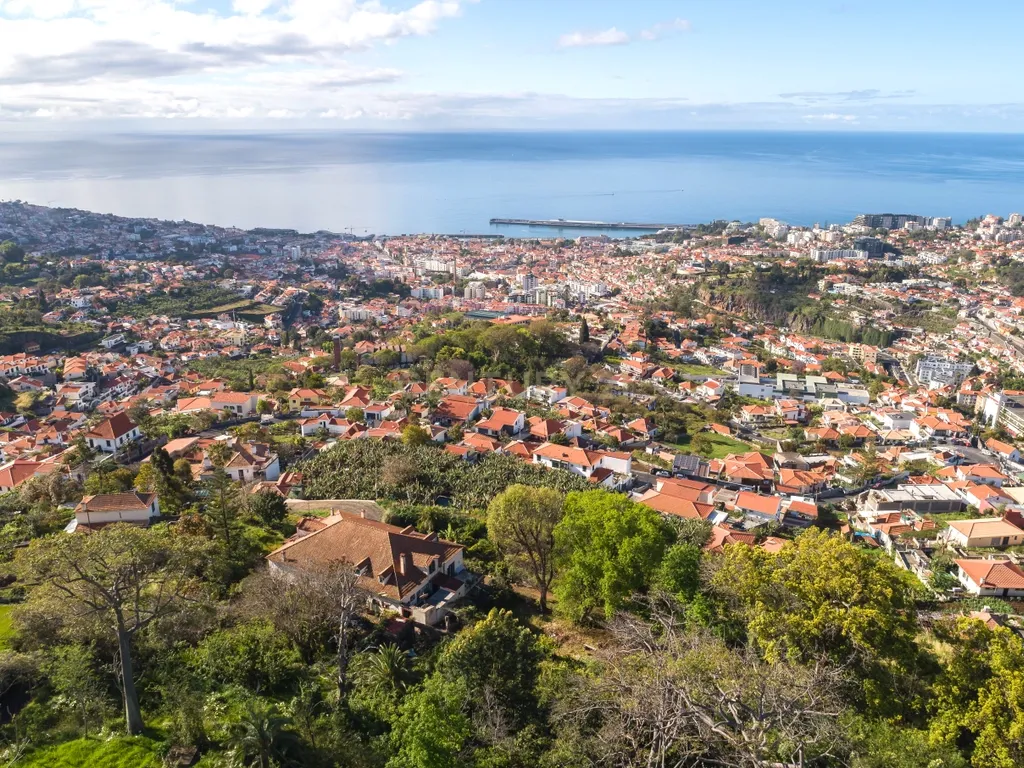 Maravilhosa Quinta tradicional no Funchal: uma oportunidade imperdível! - Image 14