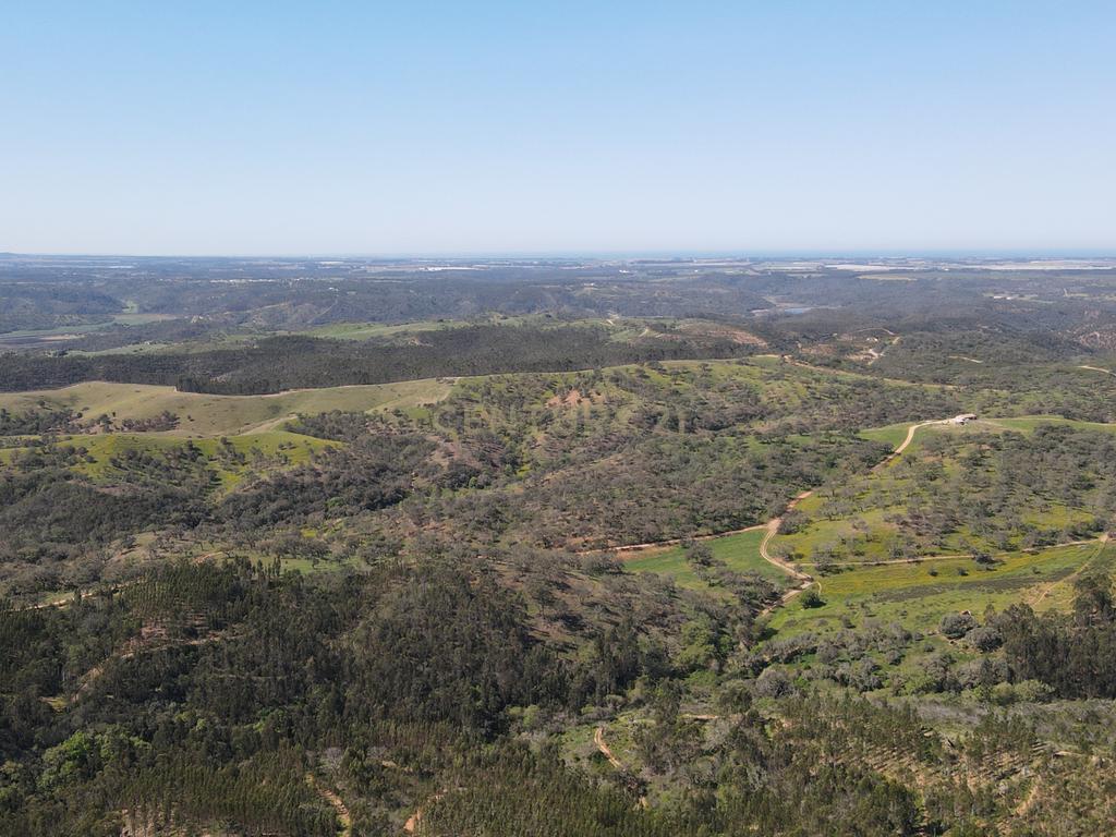 Herdade em S.Luis, Odemira - Image 8