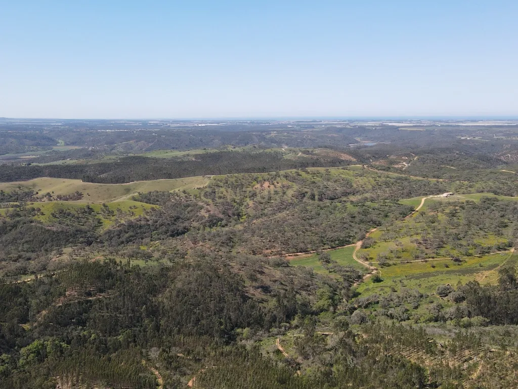Herdade em S.Luis, Odemira - Image 8