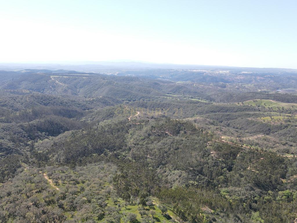 Herdade em S.Luis, Odemira - Image 9