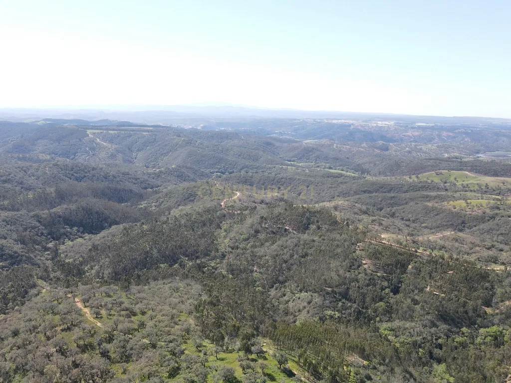 Herdade em S.Luis, Odemira - Image 9