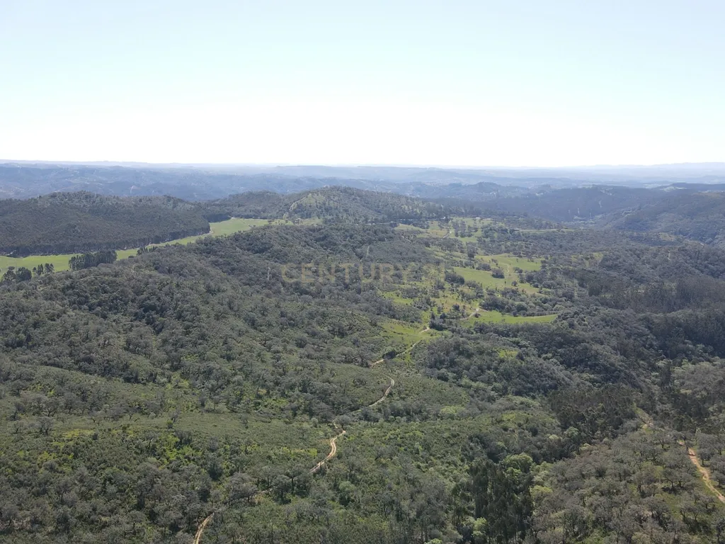 Herdade em S.Luis, Odemira - Image 10