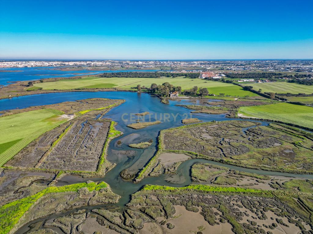 Quinta na margem sul do Tejo, com 105ha, com 5.000m2 de área urbana. - Image 25
