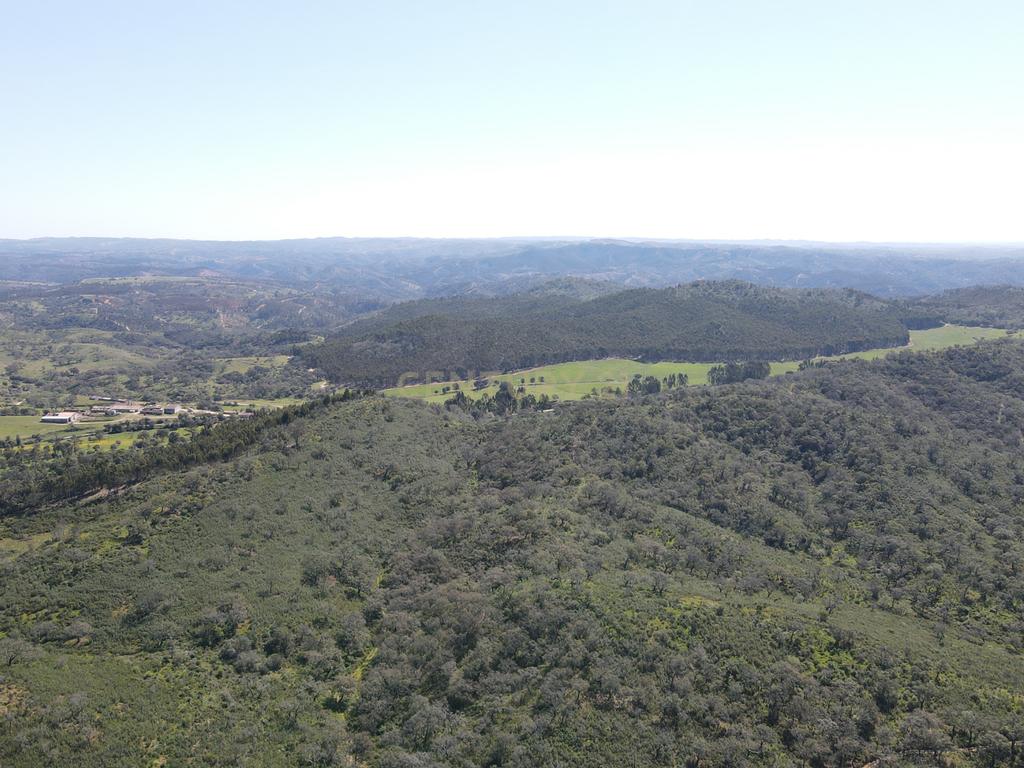 Herdade em S.Luis, Odemira - Image 11