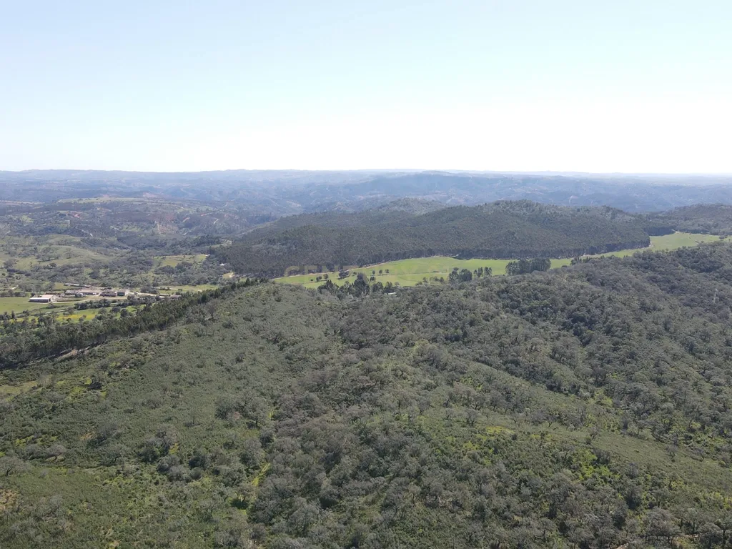Herdade em S.Luis, Odemira - Image 11
