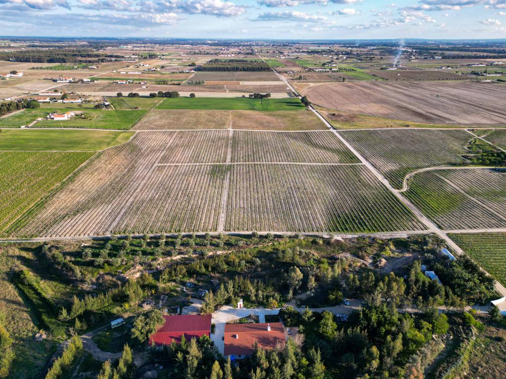 Sto. Isidro de Pegões, Palmela - Prédio Rústico com 60200 m2 com plantação de Vinha em produção - Image 5