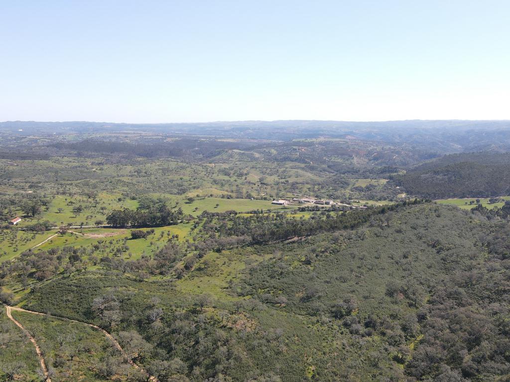 Herdade em S.Luis, Odemira - Image 12