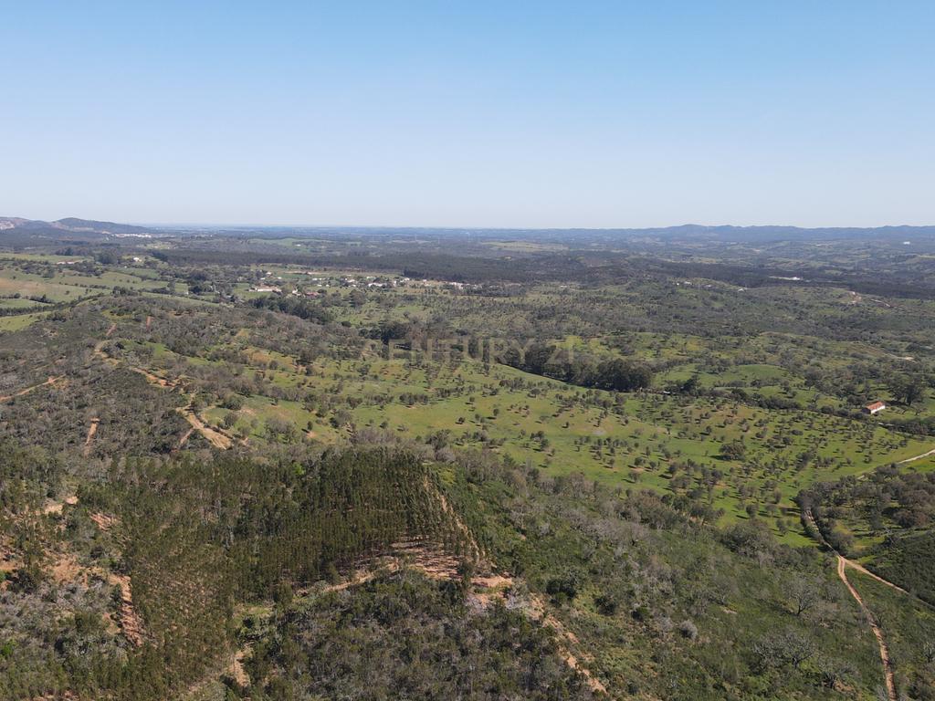 Herdade em S.Luis, Odemira - Image 13