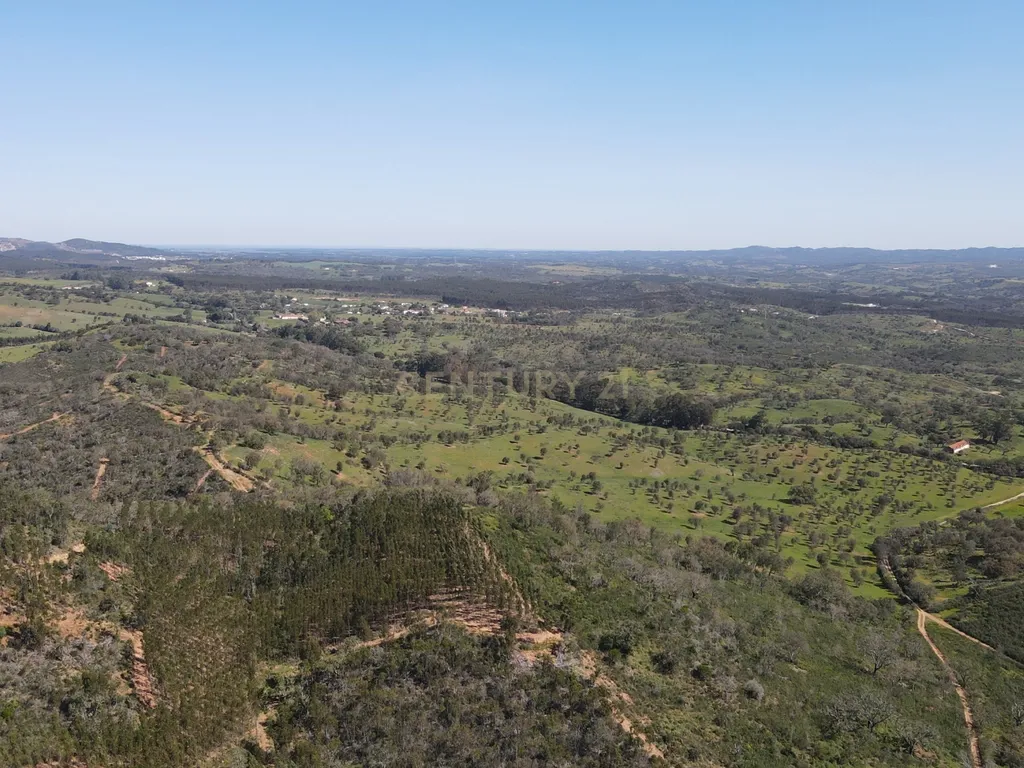 Herdade em S.Luis, Odemira - Image 13
