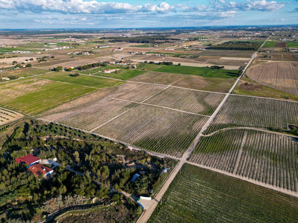 Sto. Isidro de Pegões, Palmela - Prédio Rústico com 60200 m2 com plantação de Vinha em produção - Image 8