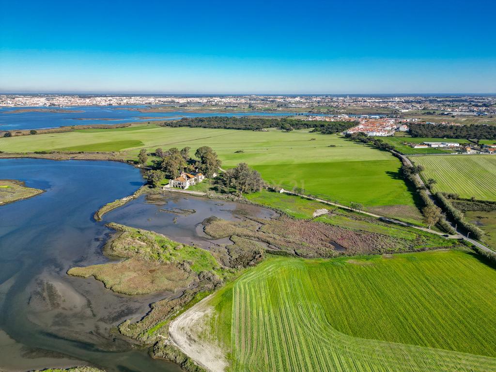 Quinta na margem sul do Tejo, com 105ha, com 5.000m2 de área urbana. - Image 26