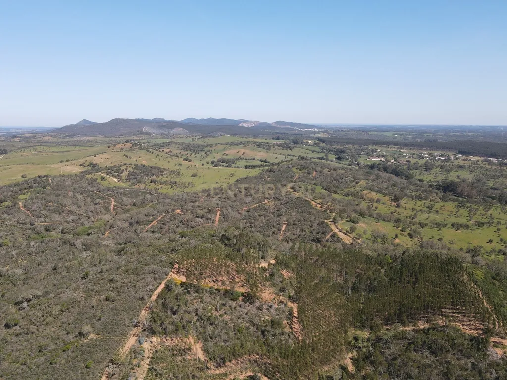 Herdade em S.Luis, Odemira - Image 20