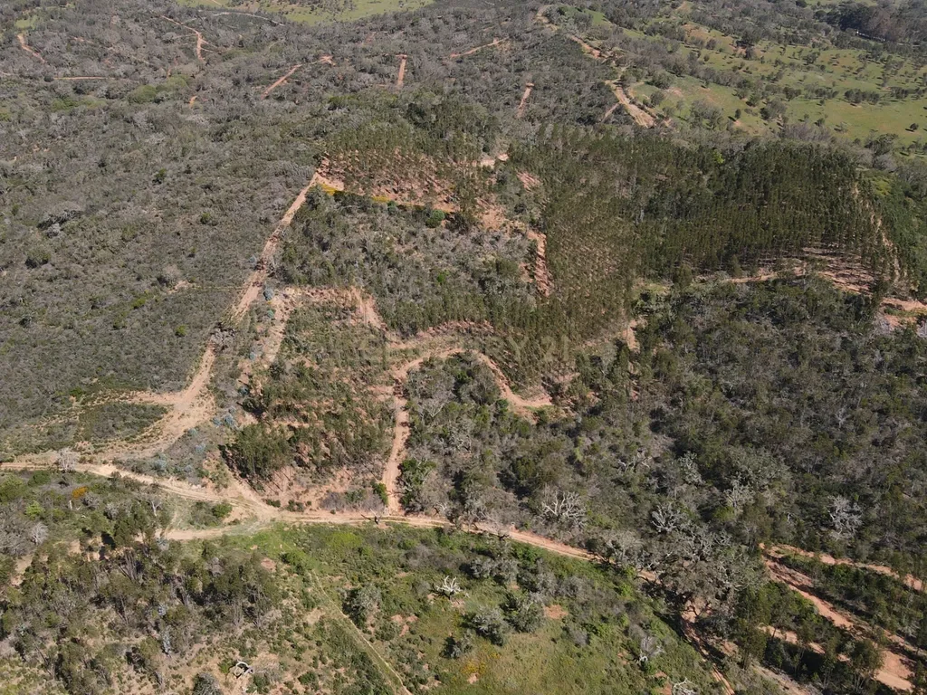 Herdade em S.Luis, Odemira - Image 15