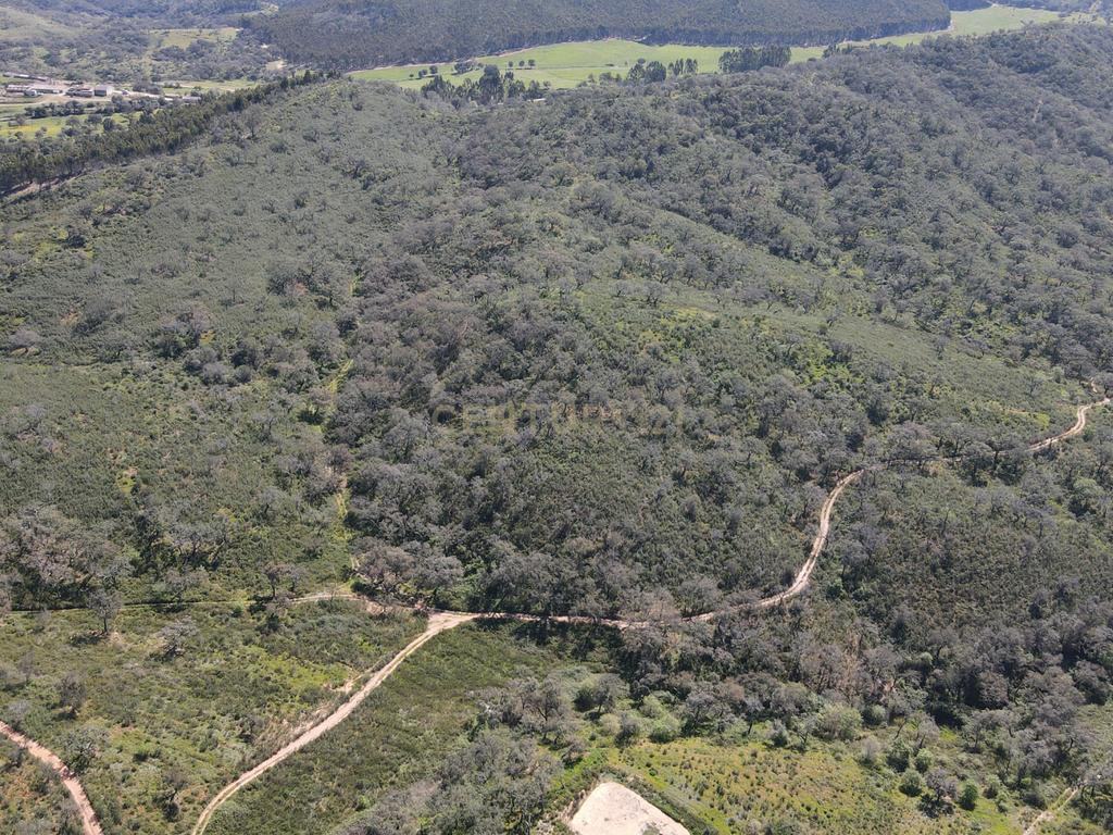 Herdade em S.Luis, Odemira - Image 16