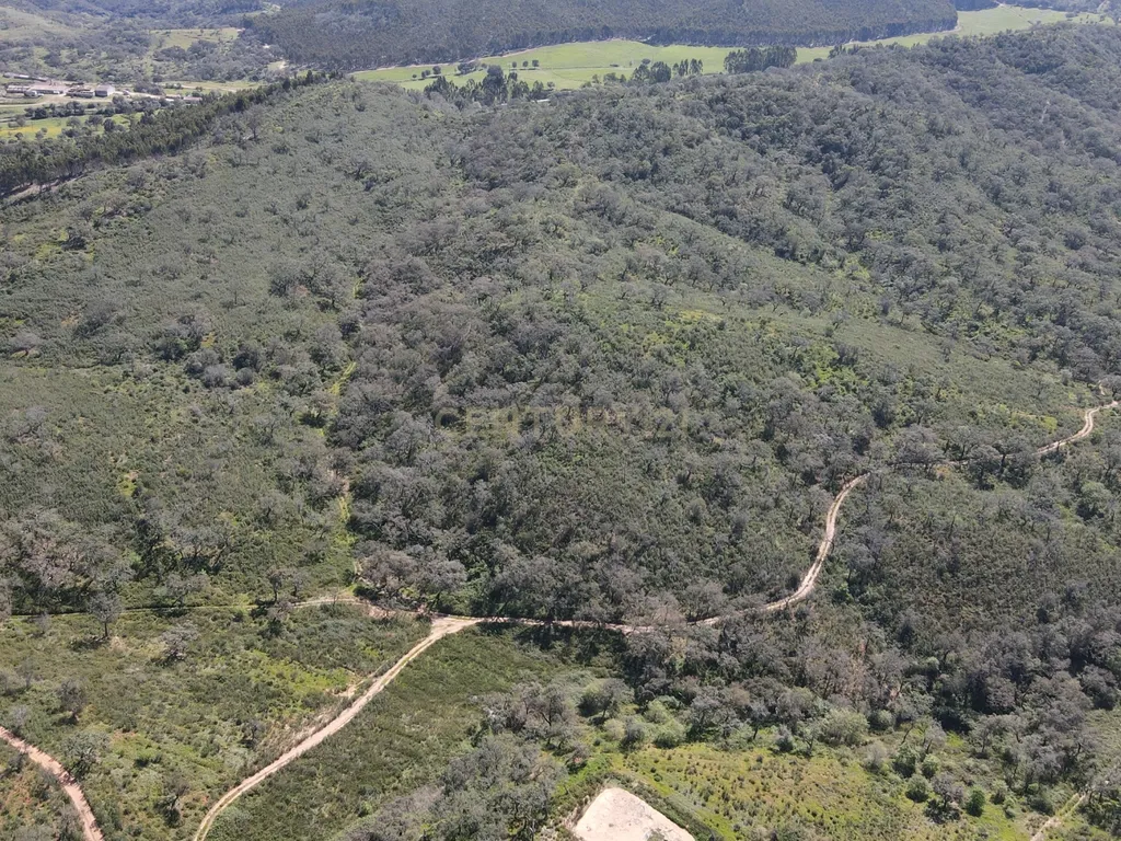 Herdade em S.Luis, Odemira - Image 16
