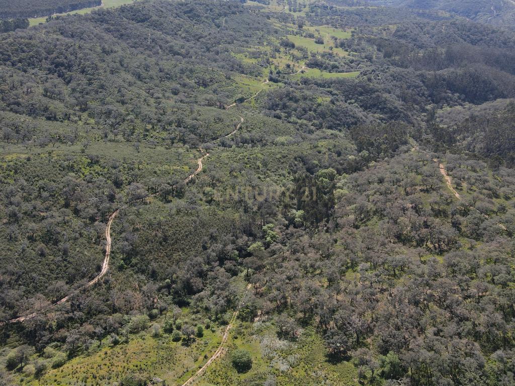 Herdade em S.Luis, Odemira - Image 17