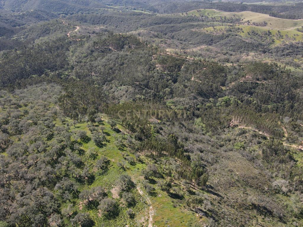 Herdade em S.Luis, Odemira - Image 18