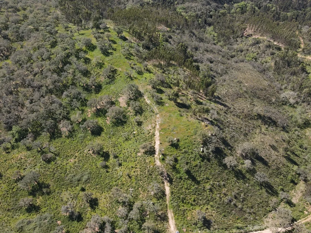 Herdade em S.Luis, Odemira - Image 19