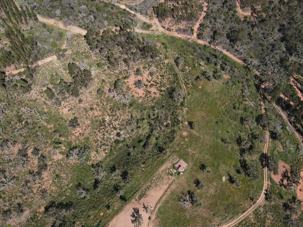 Herdade em S.Luis, Odemira - Image 27