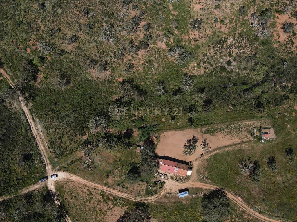 Herdade em S.Luis, Odemira - Image 2