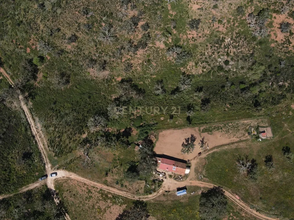 Herdade em S.Luis, Odemira - Image 2