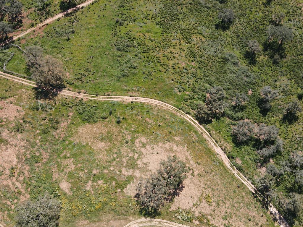 Herdade em S.Luis, Odemira - Image 26
