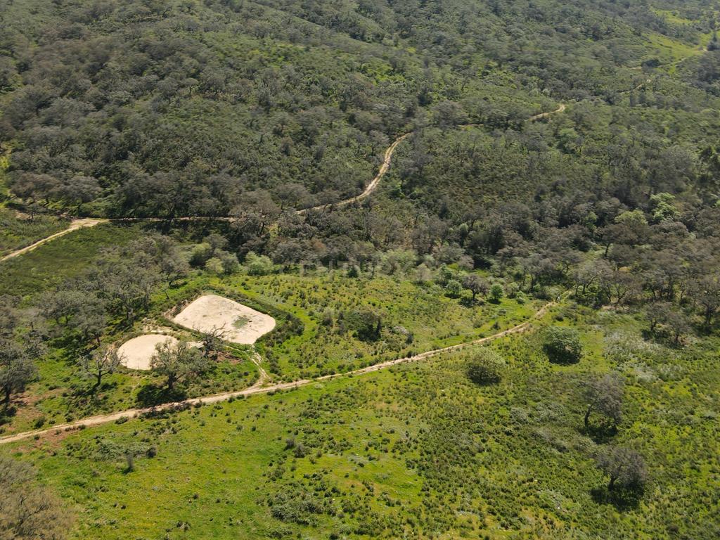 Herdade em S.Luis, Odemira - Image 4