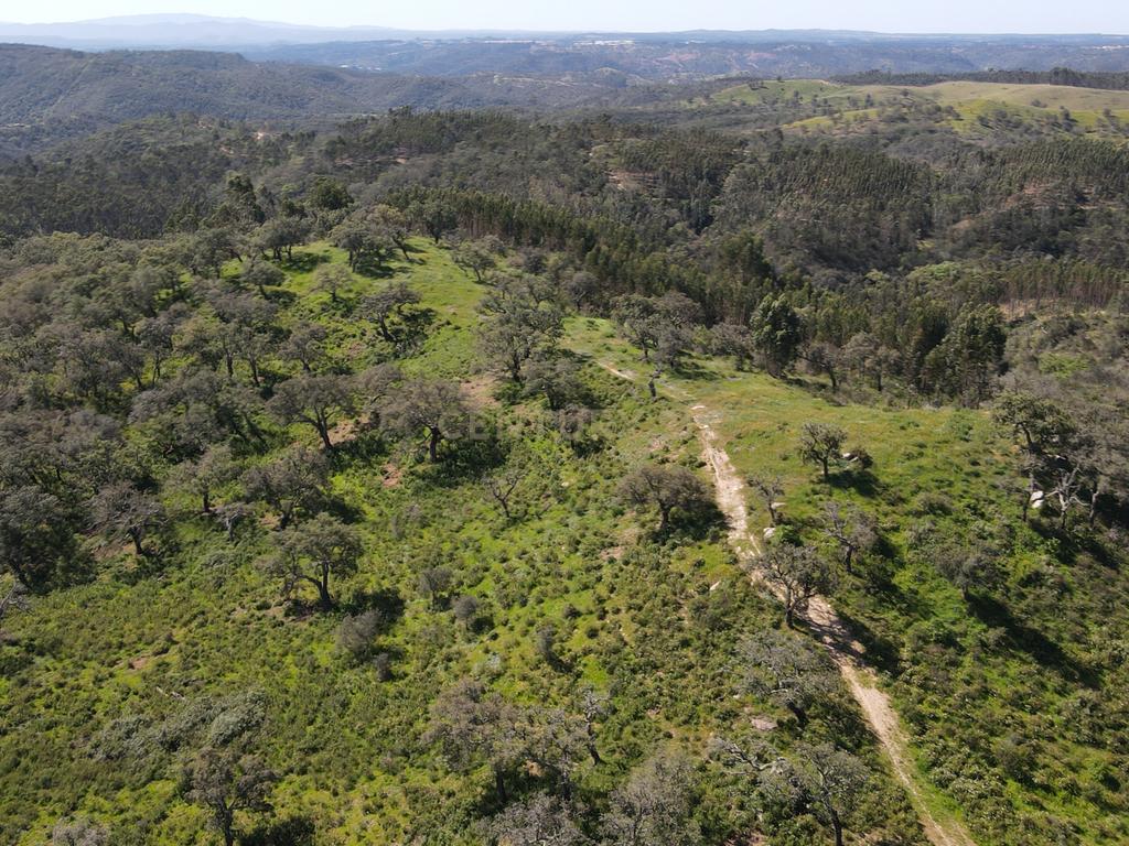 Herdade em S.Luis, Odemira - Image 23