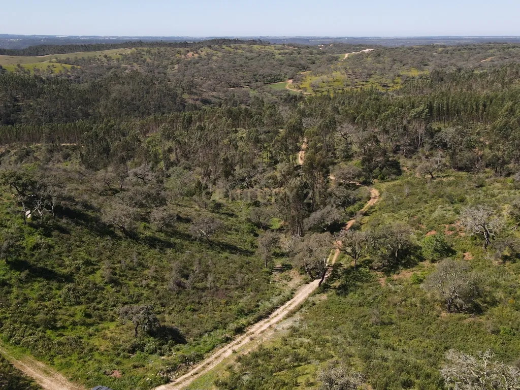 Herdade em S.Luis, Odemira - Image 28