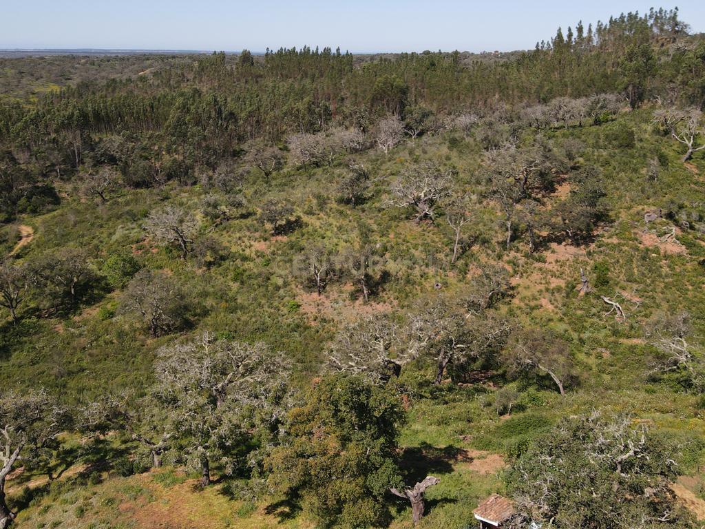 Herdade em S.Luis, Odemira - Image 25