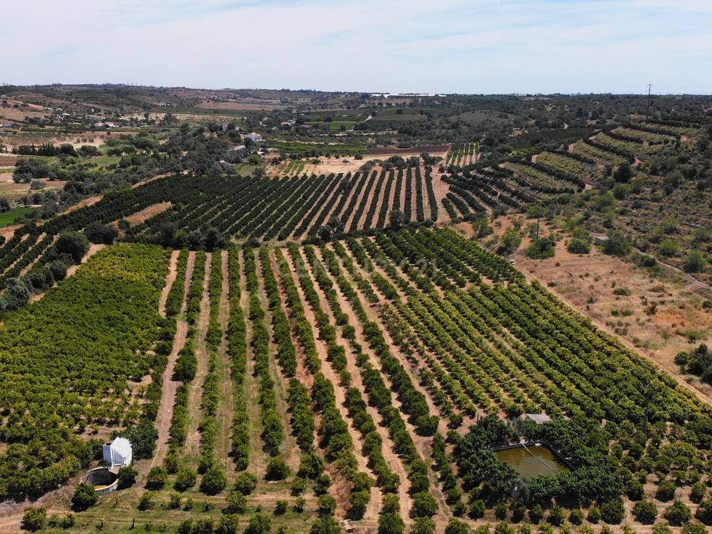 Tavira. Moradia com implantação de 266 m2 e terreno de 14,5 ha, em Almargem. - Image 21