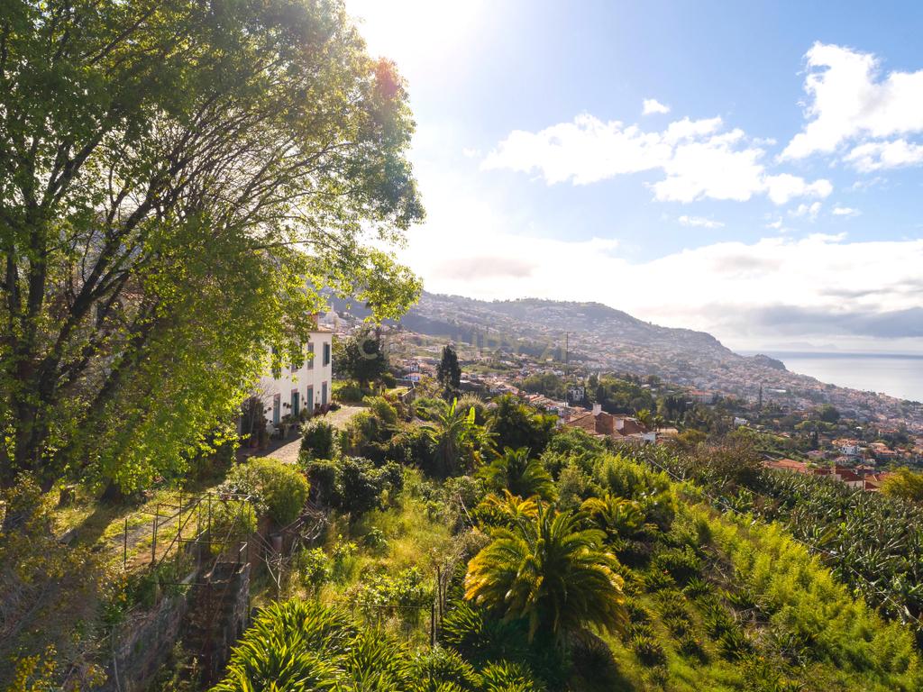 Maravilhosa Quinta tradicional no Funchal: uma oportunidade imperdível! - Image 18