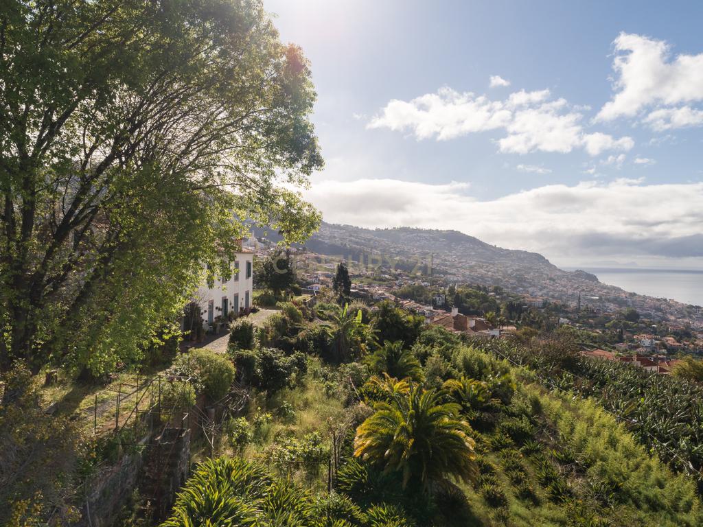 Maravilhosa Quinta tradicional no Funchal: uma oportunidade imperdível! - Image 19