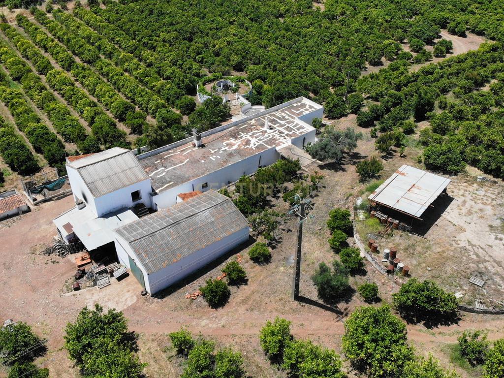 Tavira. Moradia com  implantação de 266 m2 e terreno de 14,5 ha,  em Almargem. - Image 2