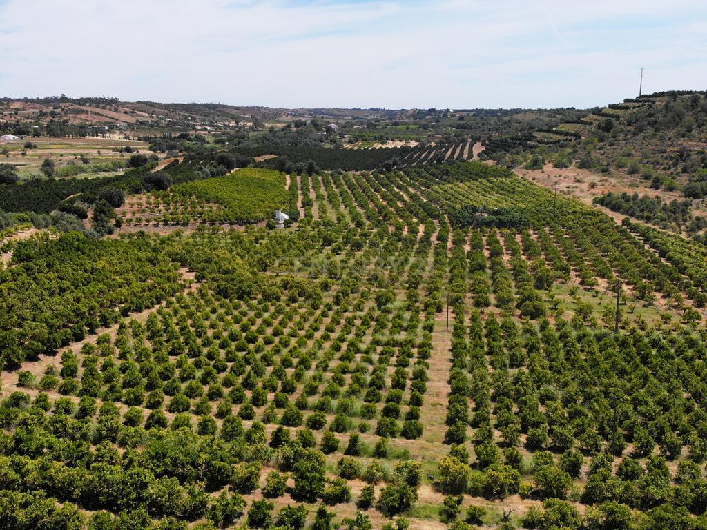 Tavira. Moradia com  implantação de 266 m2 e terreno de 14,5 ha,  em Almargem. - Image 20