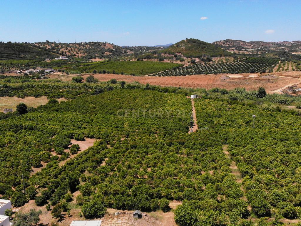 Tavira. Moradia com  implantação de 266 m2 e terreno de 14,5 ha,  em Almargem. - Image 22