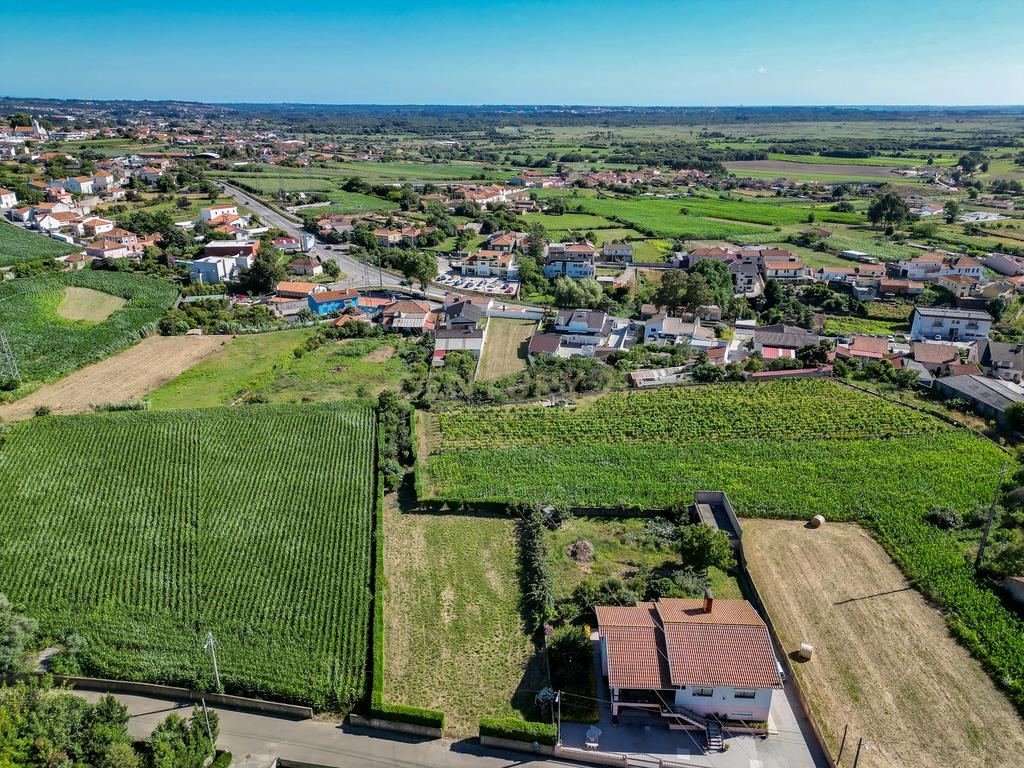 Terreno com 1.290m2 para construção de Moradia até 774m2, em Salreu - Image 14