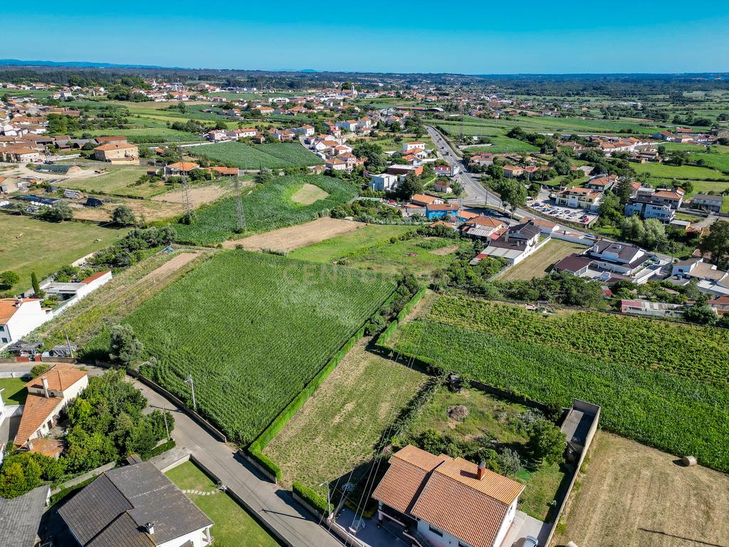 Terreno com 1.290m2 para construção de Moradia até 774m2, em Salreu - Image 39