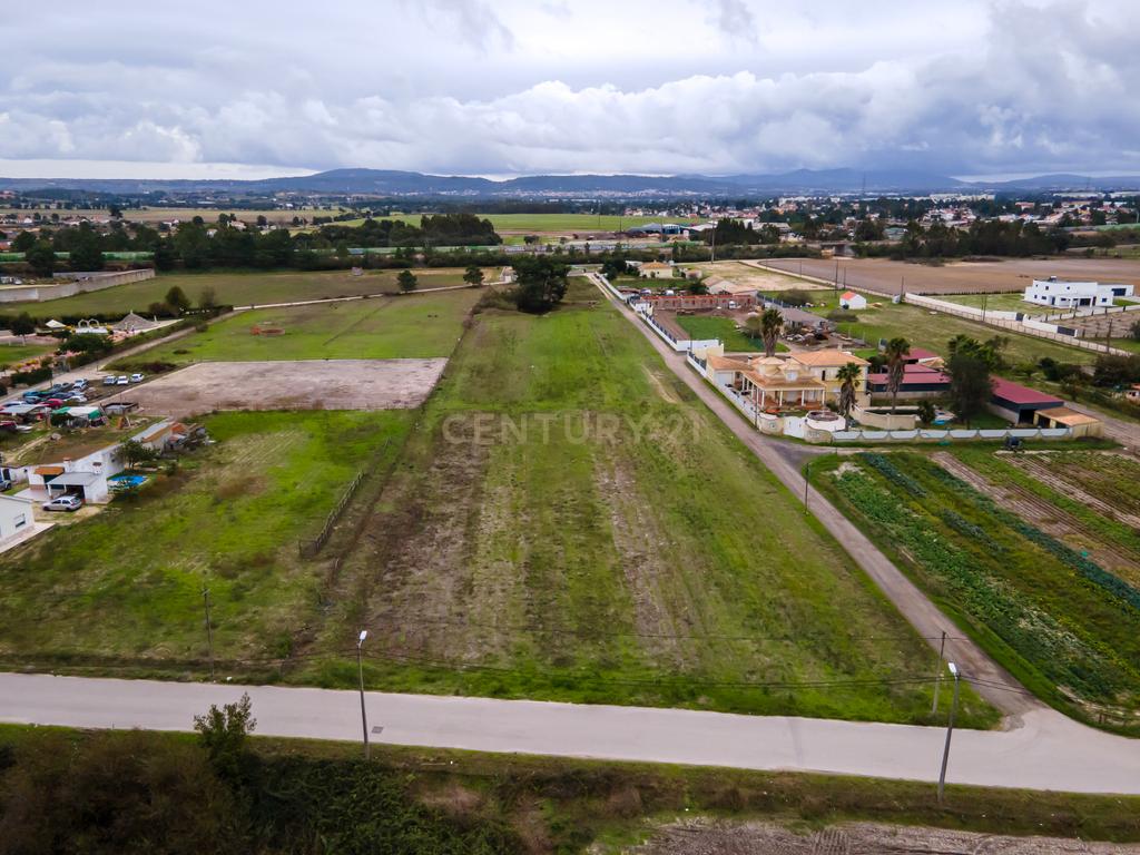 Lote de Terreno Rustico | 15.200m2 | Quinta do Anjo - Image 9
