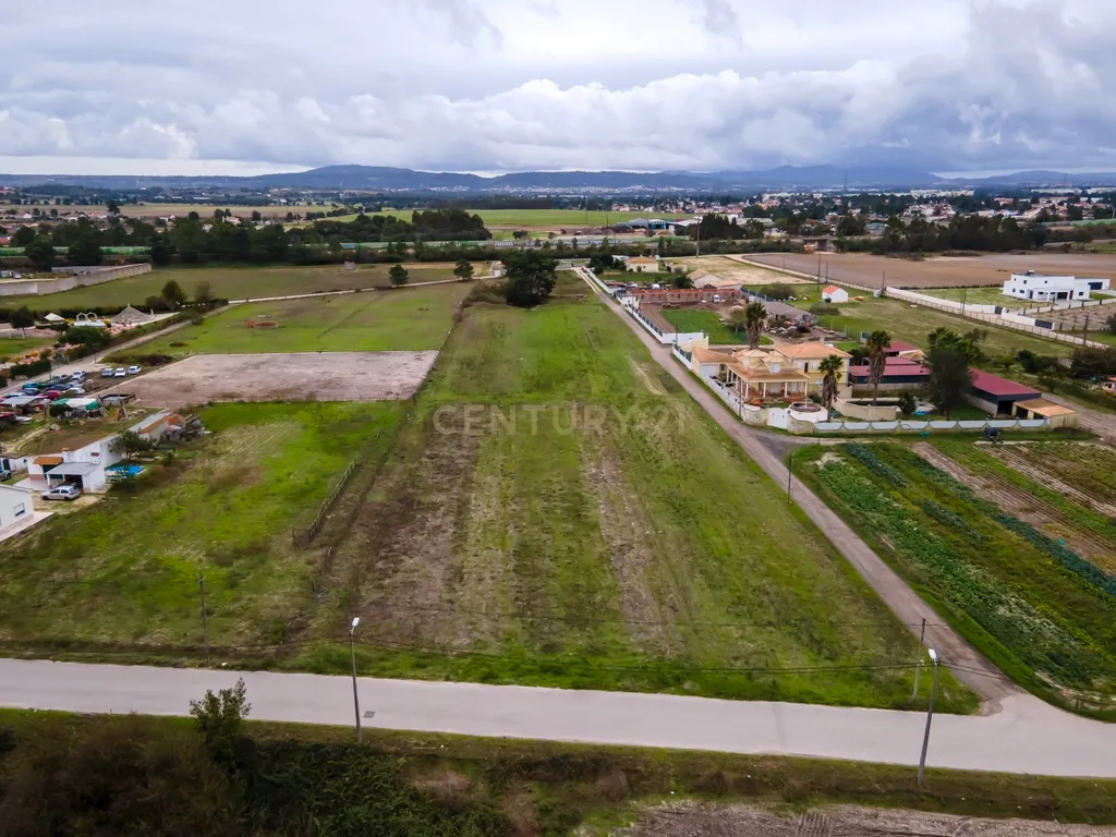 Lote de Terreno Rustico | 15.200m2 | Quinta do Anjo - Image 9