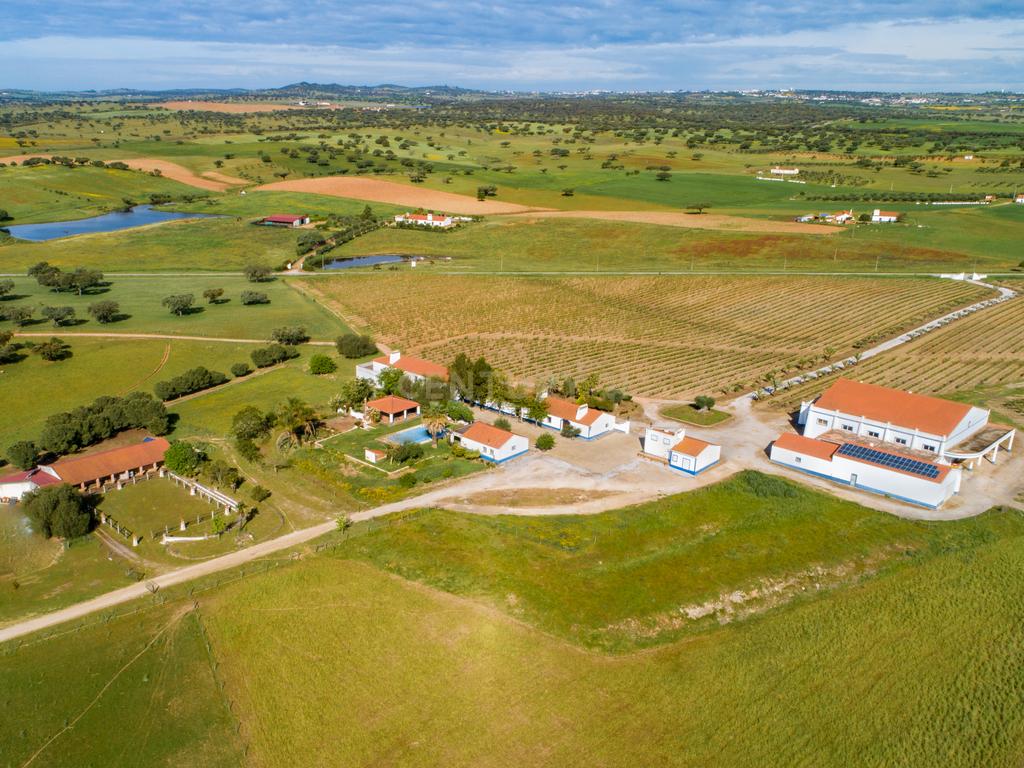 Herdade de 190 Hectares (16 Hectares de Vinha) a 10 km do lago de Alqueva (Alentejo, Portugal) - Image 2
