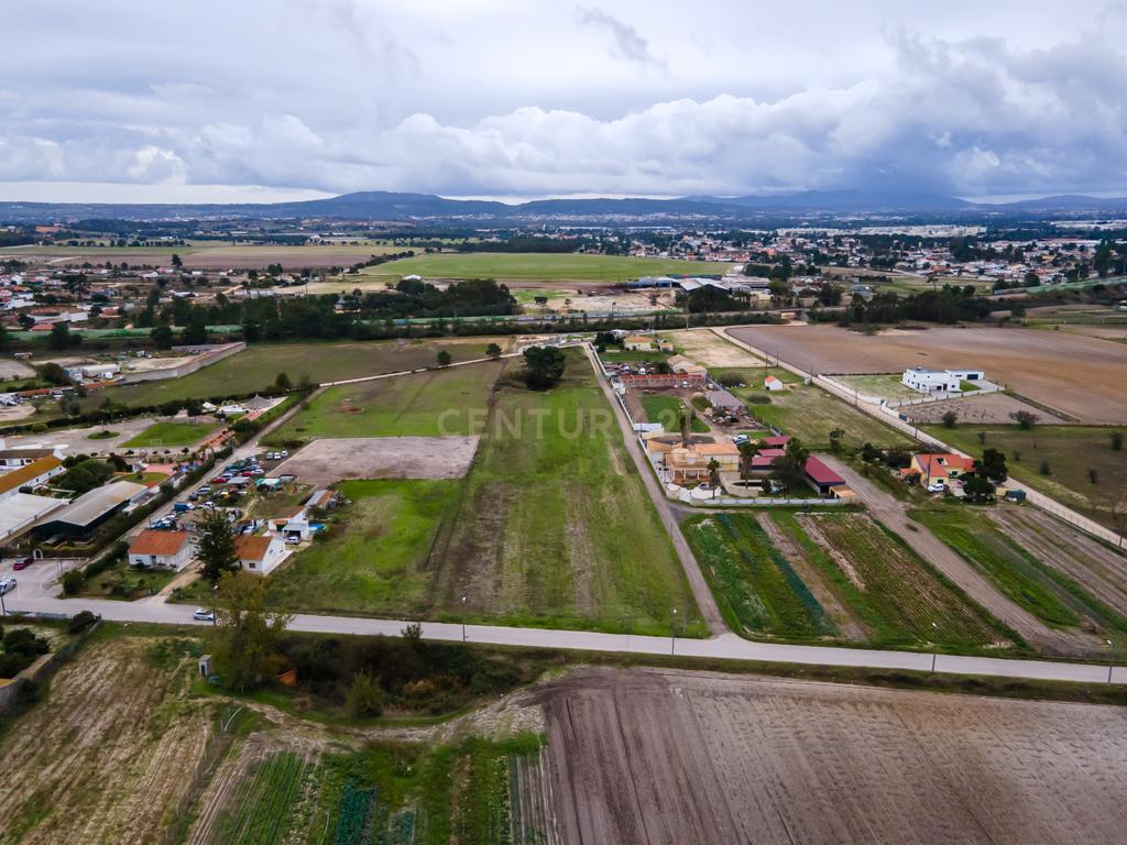 Lote de Terreno Rustico | 15.200m2 | Quinta do Anjo - Image 13