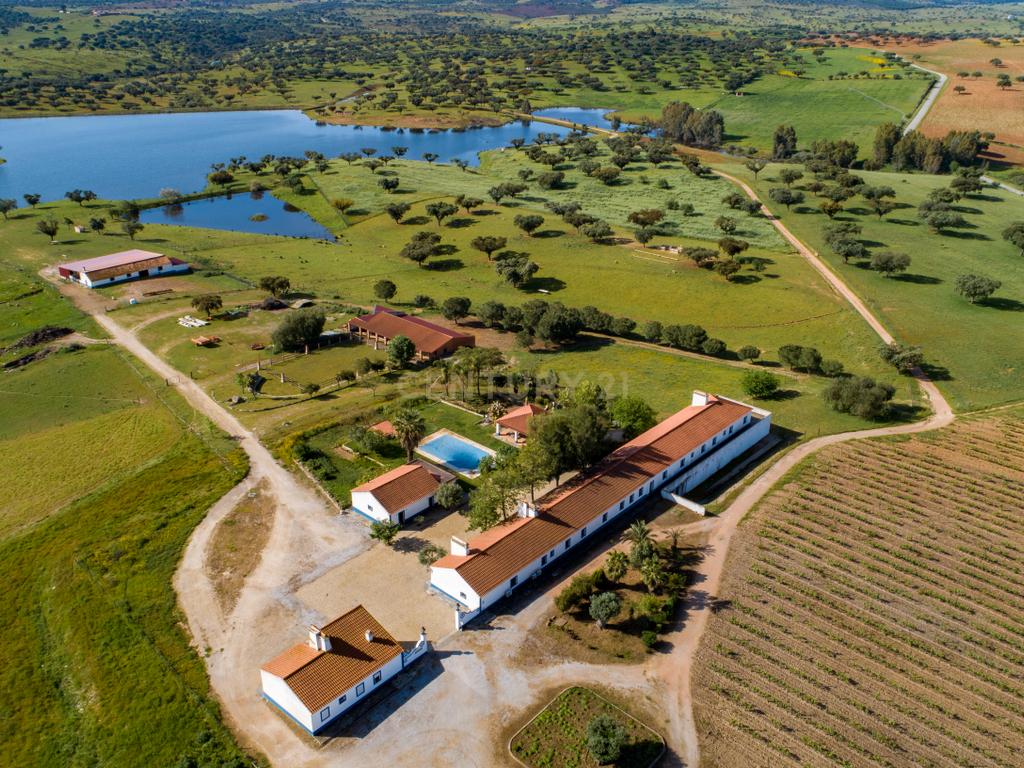Herdade de 190 Hectares (16 Hectares de Vinha) a 10 km do lago de Alqueva (Alentejo, Portugal) - Image 1